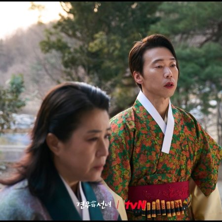 Head over Heels (2025)