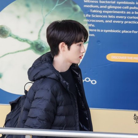 Sunshine through the Rain ()