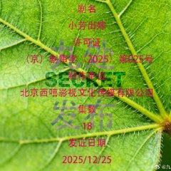 Xiao Fang Chu Jia Chinese Drama(0000) photo