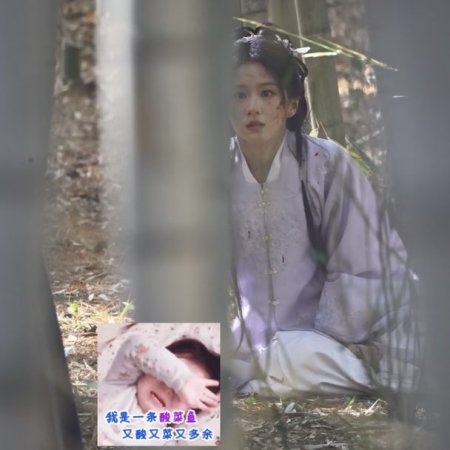 Reborn of the Rightful ()