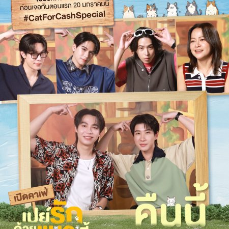 Cat for Cash Special (2026)