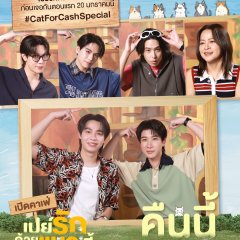 Cat for Cash Special Thai TV Program(2026) photo