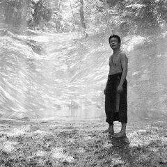 Black Ox Taiwanese Movie photo