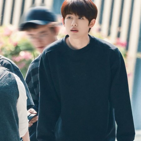 Sunshine through the Rain ()