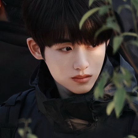 Sunshine through the Rain ()