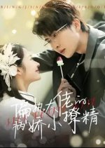 Sick Petite Wife Chinese Drama(2023) photo