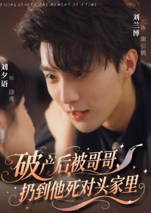 Healing Hearts, One Moment at a Time (2025) poster