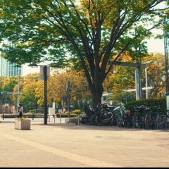 Cinderella Closet Japanese Drama(2025) photo