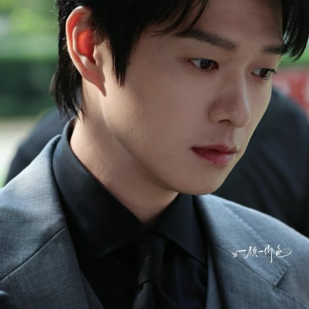 Irreplaceable ()