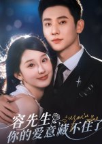 Rong Xian Sheng, Ni De Ai Yi Cang Bu Zhu Le Chinese Drama(2025) photo