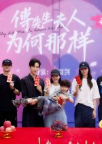 Why Did Mrs. Fu Behave like That Chinese Drama(2025) photo