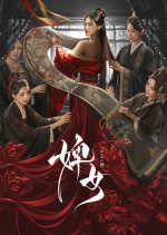 The Maid Chinese Drama photo