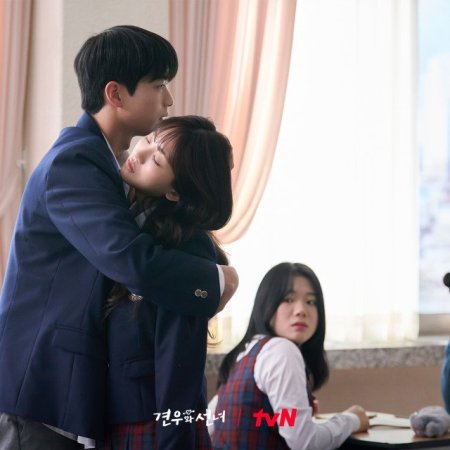 Head over Heels (2025)