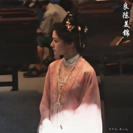 Liang Chen Mei Jin ()