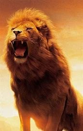 Up_RoaR