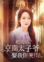 Dou Li Hun Le, Jing Quan Tai Zi Ye Qu Wo Ni Ku Shen Me Chinese Drama(2024) photo