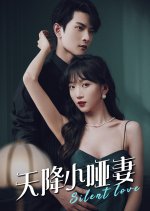 The Silent Wife Sent from Heaven Chinese Drama photo