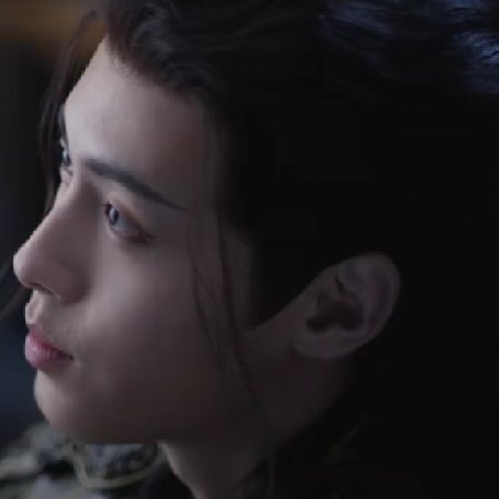 The Blossoming Love (2025)