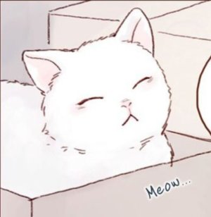 Amelia