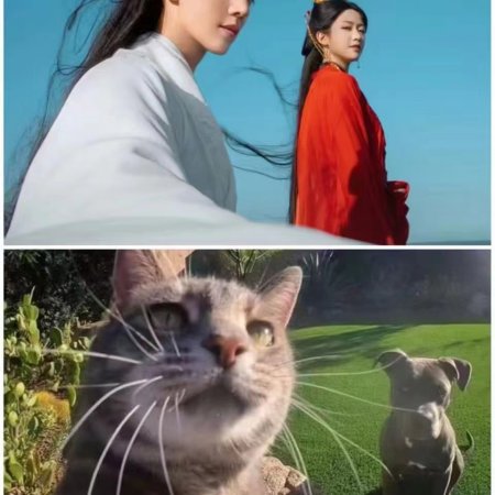 Love of the Divine Tree (2025)