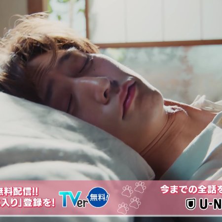 Love Is for the Dogs (2025)