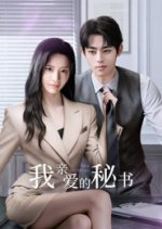 Dear Secretary Chinese Drama(2025) photo