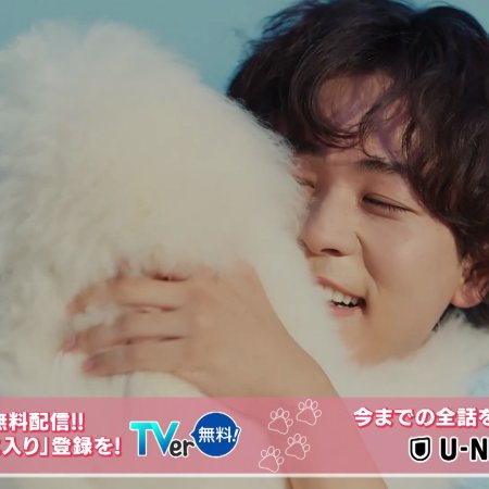 Love Is for the Dogs (2025)