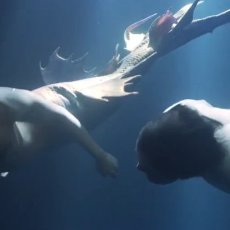 Lover Merman (2025)
