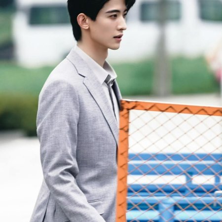 The Vanishing Beauty ()