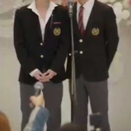 Golden Feathers (2025)