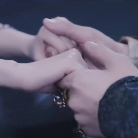 The Blossoming Love (2025)