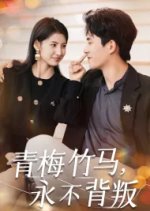 Qing Mei Zhu Ma Yong Bu Bei Pan Chinese Drama photo