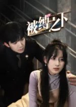 Bei Fu Zhi Xia Chinese Drama photo