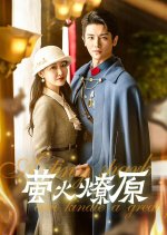 A Tiny Spark Can Kindle a Great Fire Chinese Drama photo