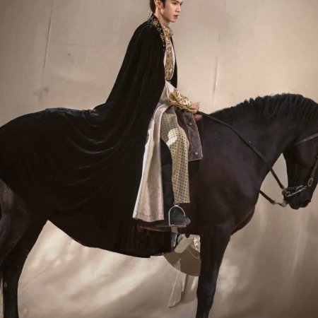 Jiang Shan Wei Pin ()