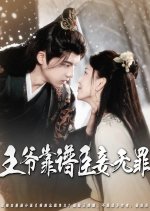 Wang Ye Kao Pu Chen Qie Wu Zui Chinese Drama(2025) photo