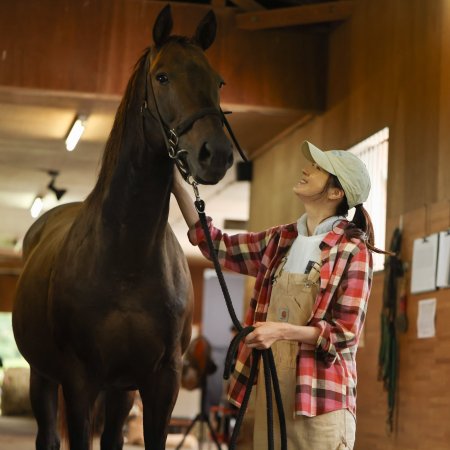 Passing the Reins (2025)