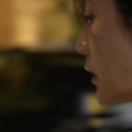 Dahlia Will Bloom All the Time ()