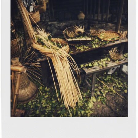 Fight for Love (2025)