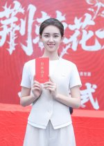 Jing Ji Hua Kai Chinese Drama(0000) photo