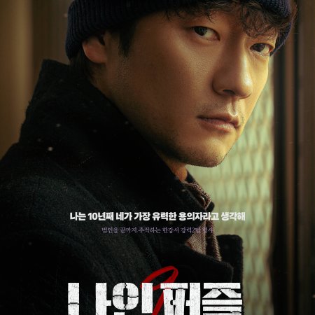 Nine Puzzles (2025)