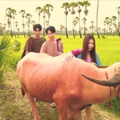 Loy Kaew First Love Thai Drama photo