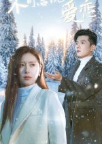 Bu Ke Yan Shuo De Ai Lian Chinese Drama(2024) photo