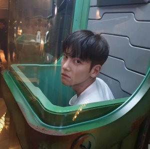 wookie