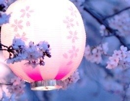 SayuriRuiKaima