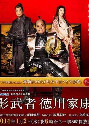 Kagemusha Tokugawa Ieyasu  (2014) poster
