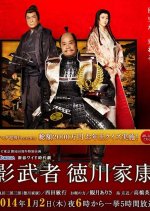 Kagemusha Tokugawa Ieyasu  Japanese Drama photo