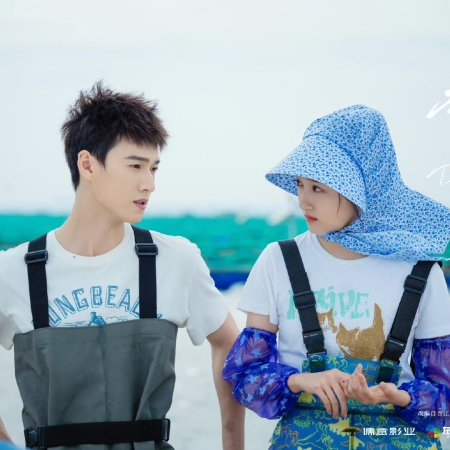 Dazzling (2026)