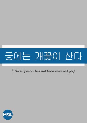 Gungeneun Gaekkoti Sanda poster