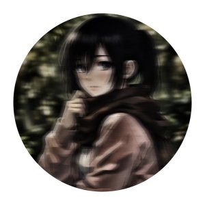 Mikasa